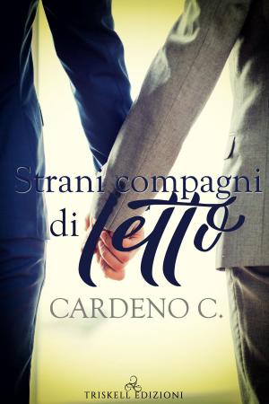 Cover of the book Strani compagni di letto by Abigail Roux