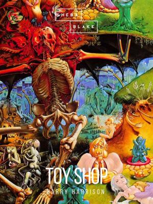 Book cover of Toy Shop