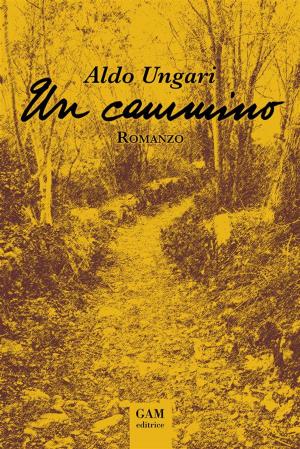 Book cover of Un cammino
