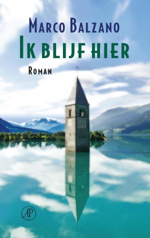 Cover of the book Ik blijf hier by Toon Tellegen