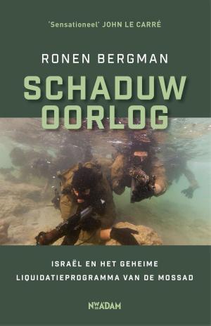 Cover of the book Schaduwoorlog by Japke-D. Bouma