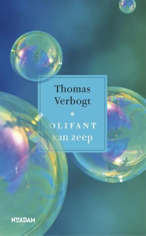 Cover of the book Olifant van zeep by Jan Terlouw, Sanne Terlouw