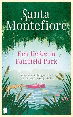 Book cover of Een liefde in Fairfield Park