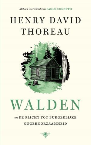 Cover of the book Walden by Marten Toonder