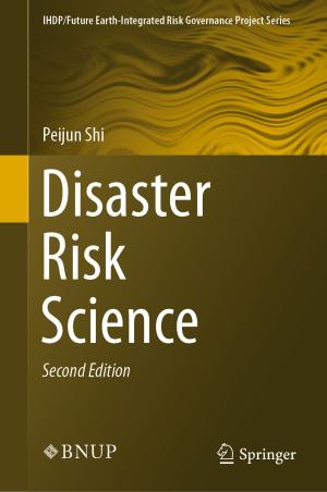 Cover of the book Disaster Risk Science by Kojiro Sakurai