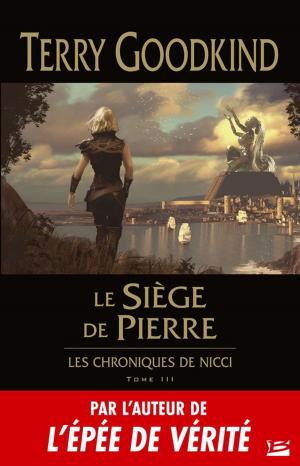 Cover of the book Le Siège de pierre by Stan Nicholls