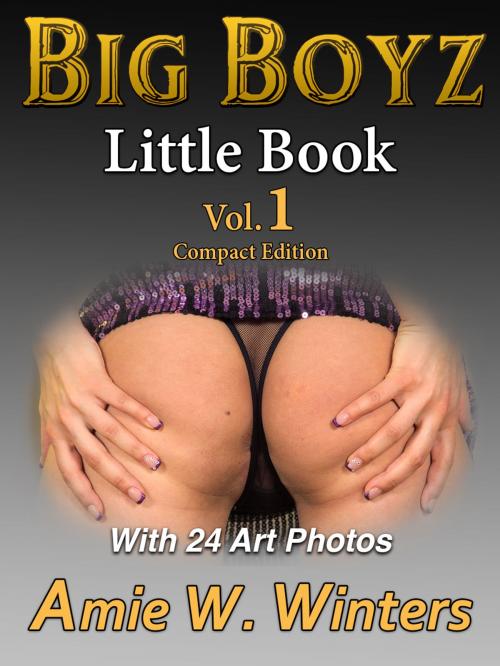Cover of the book BIG BOYZ Little Book by Amie W. Winters, Nancy Brown, Amie W. Winters