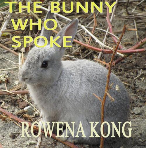 Cover of the book The Bunny Who Spoke by Rowena Kong, Rowena Kong
