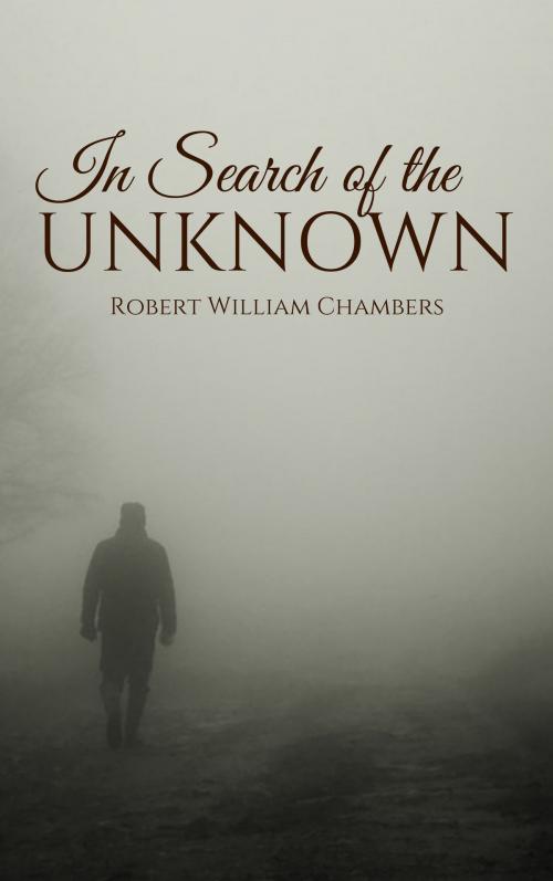 Cover of the book In Search of the Unknown by Robert W. Chambers, EnvikaBook