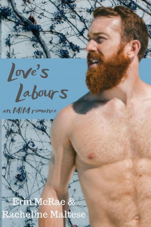 Cover of the book Love's Labours Box Set: Books 1 & 2 by Erin McRae, Racheline Maltese, Avian30