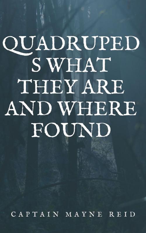 Cover of the book Quadrupeds What They Are and Where Found by Captain Mayne Reid, anamsaleem