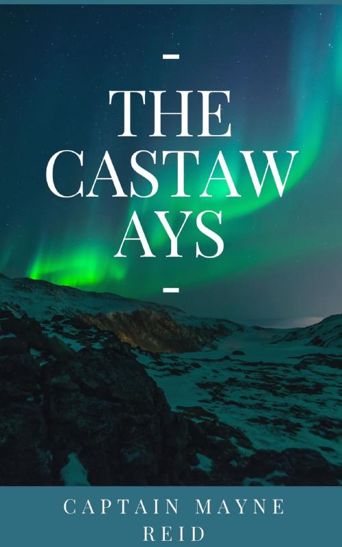 Cover of the book The Castaways by Captain Mayne Reid, anamsaleem
