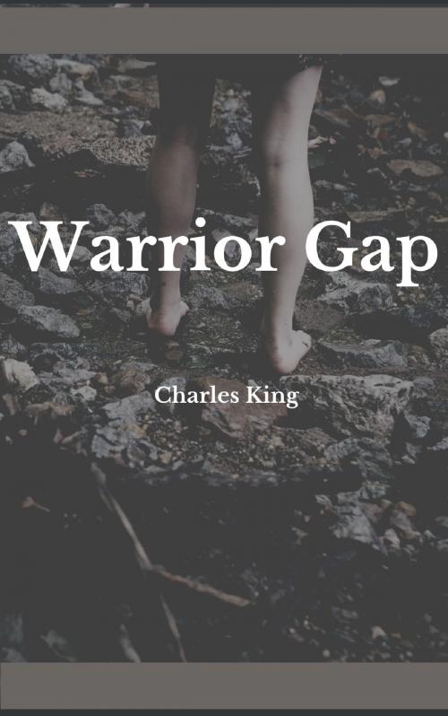 Cover of the book Warrior Gap by Charles King, anamsaleem
