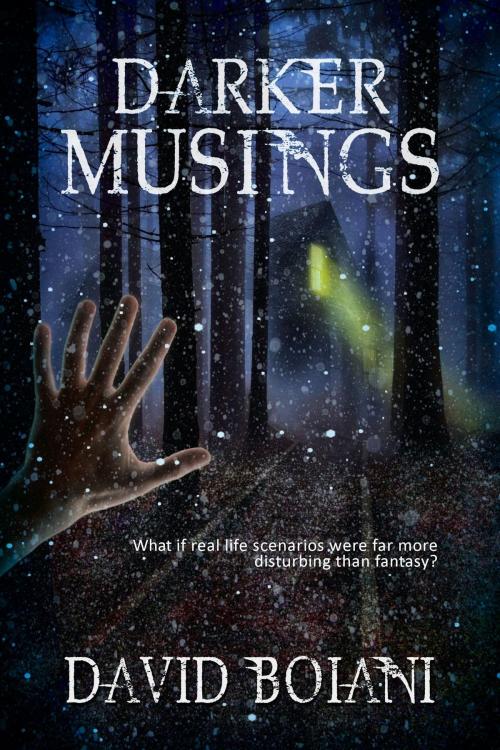 Cover of the book Darker Musings by David Boiani, Foundations Book Publishing Company