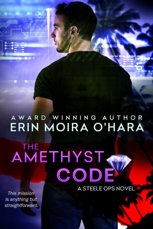 Cover of the book The Amethyst Code by Erin Moira O'Hara, Erin Moira O'Hara