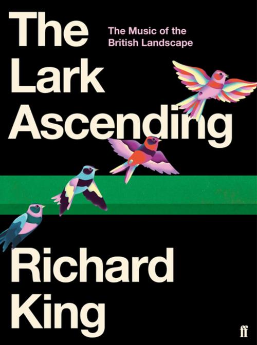 Cover of the book The Lark Ascending by Richard King, Faber & Faber