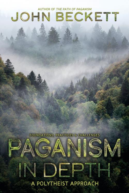 Cover of the book Paganism In Depth by John Beckett, Llewellyn Worldwide, LTD.