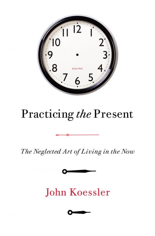 Cover of the book Practicing the Present by John Koessler, Moody Publishers