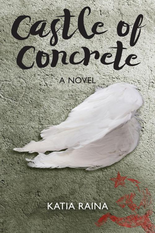 Cover of the book Castle of Concrete by Katia Raina, New Europe Books