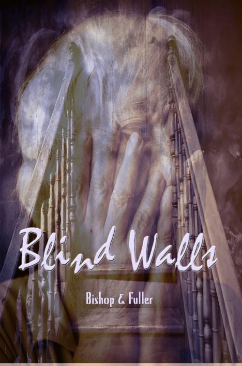 Cover of the book Blind Walls by Conrad Bishop, Elizabeth Fuller, Conrad Bishop