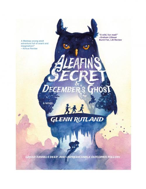 Cover of the book Aleafin's Secret and December's Ghost by Glenn Rutland, Hannah Stayton, Illustrator, David Varker, Illustrator, Robert Dery, Illustrator, Gracestone Publishing