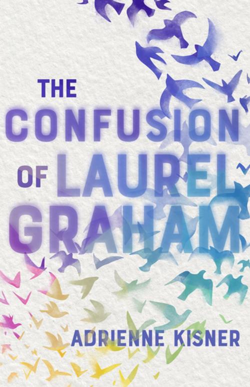 Cover of the book The Confusion of Laurel Graham by Adrienne Kisner, Feiwel & Friends