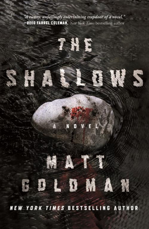 Cover of the book The Shallows by Matt Goldman, Tom Doherty Associates