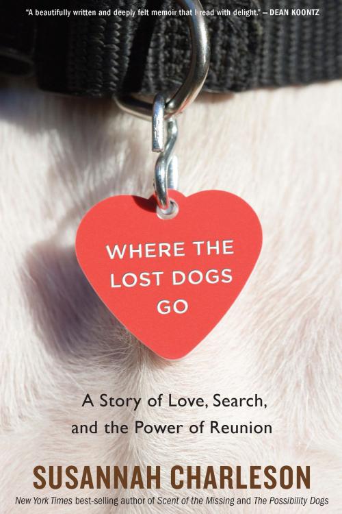 Cover of the book Where the Lost Dogs Go by Susannah Charleson, HMH Books