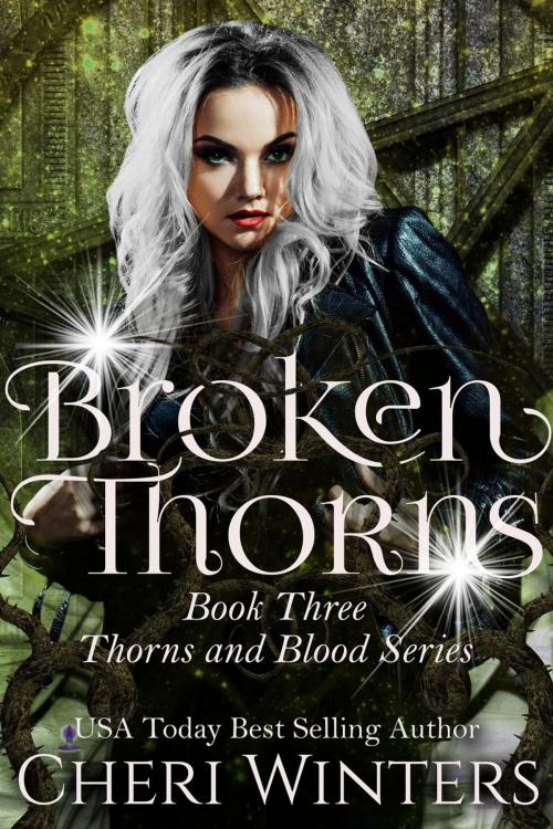 Cover of the book Broken Thorns by Cheri Winters, Cheri Winters