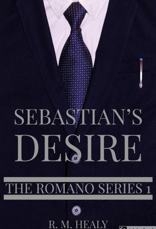 Cover of the book Sebastian's Desire by R.M. Healy, D.J.T