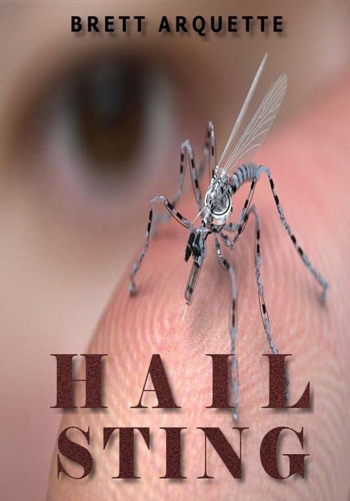 Cover of the book Hail Sting by Brett Arquette, Brett Arquette