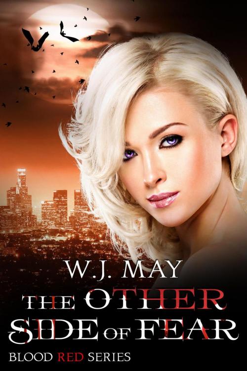Cover of the book The Other Side of Fear by W.J. May, Dark Shadow Publishing