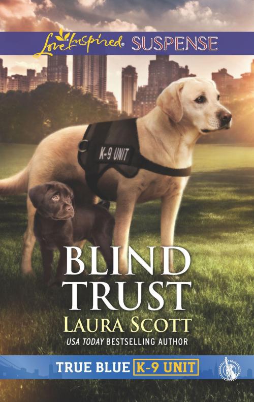 Cover of the book Blind Trust by Laura Scott, Harlequin