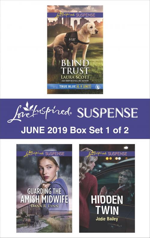 Cover of the book Harlequin Love Inspired Suspense June 2019 - Box Set 1 of 2 by Laura Scott, Dana R. Lynn, Jodie Bailey, Harlequin