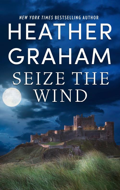 Cover of the book Seize the Wind by Heather Graham, Harlequin