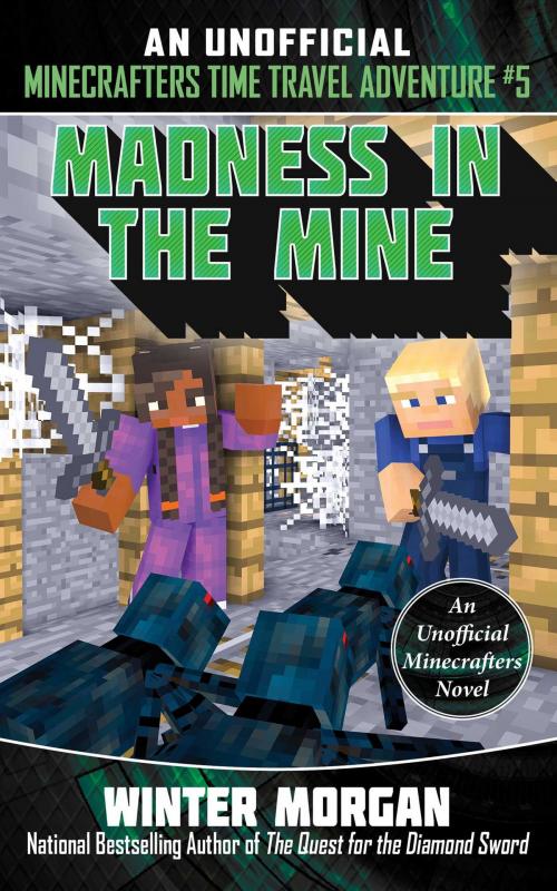Cover of the book Madness in the Mine by Winter Morgan, Sky Pony