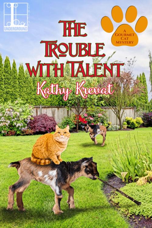 Cover of the book The Trouble with Talent by Kathy Krevat, Lyrical Press