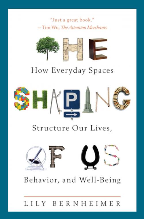 Cover of the book The Shaping of Us by Lily Bernheimer, Trinity University Press