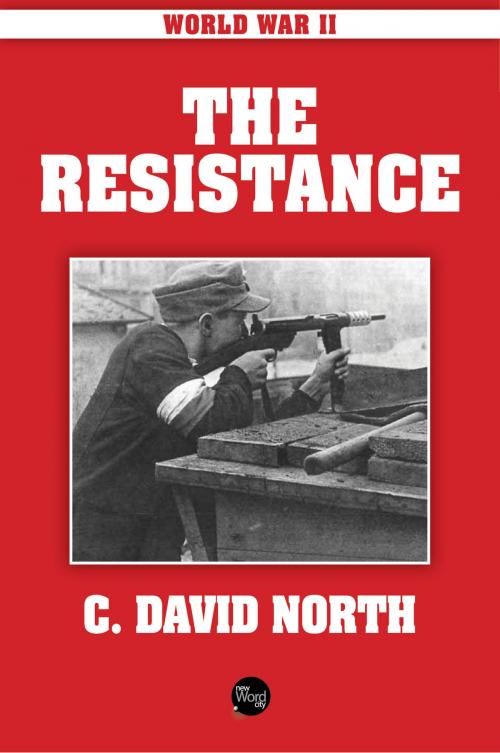 Cover of the book World War II: The Resistance by C. David North, New Word City, Inc.