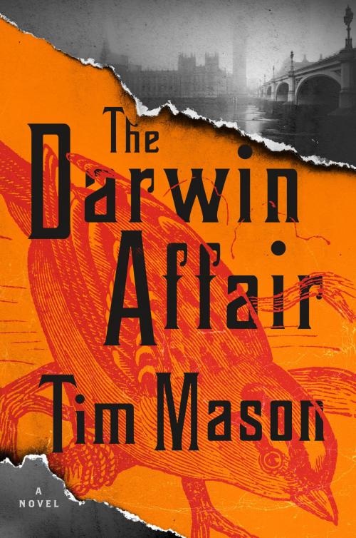 Cover of the book The Darwin Affair by Tim Mason, Algonquin Books