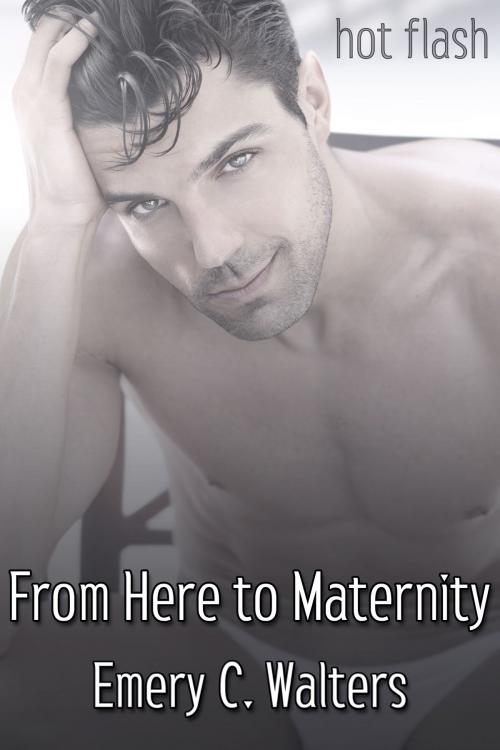 Cover of the book From Here to Maternity by Emery C. Walters, JMS Books LLC