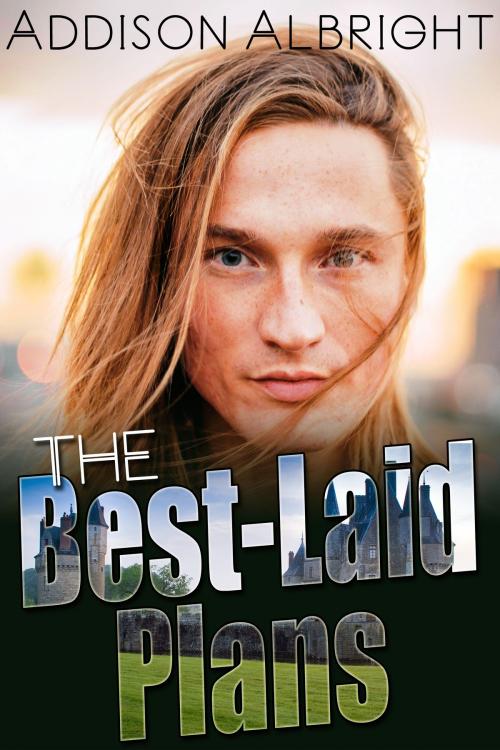 Cover of the book The Best-Laid Plans by Addison Albright, JMS Books LLC