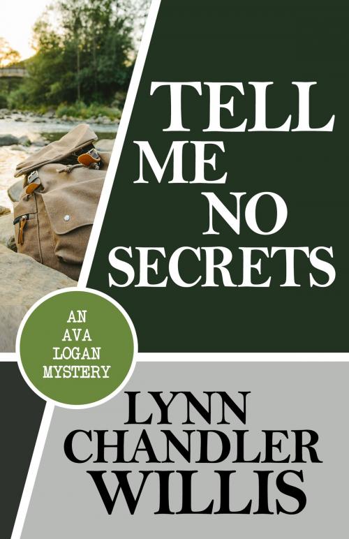 Cover of the book TELL ME NO SECRETS by Lynn Chandler Willis, Henery Press