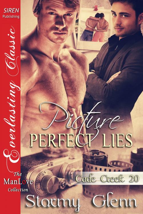 Cover of the book Picture-Perfect Lies by Stormy Glenn, Siren-BookStrand