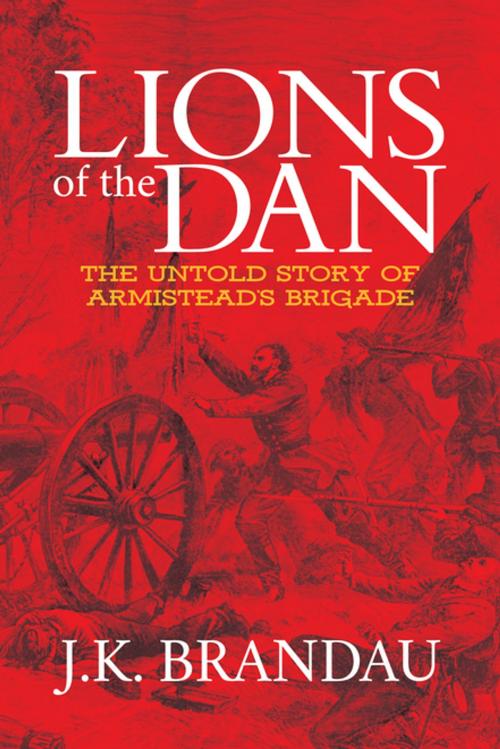 Cover of the book Lions of the Dan by J.K. Brandau, Morgan James Publishing