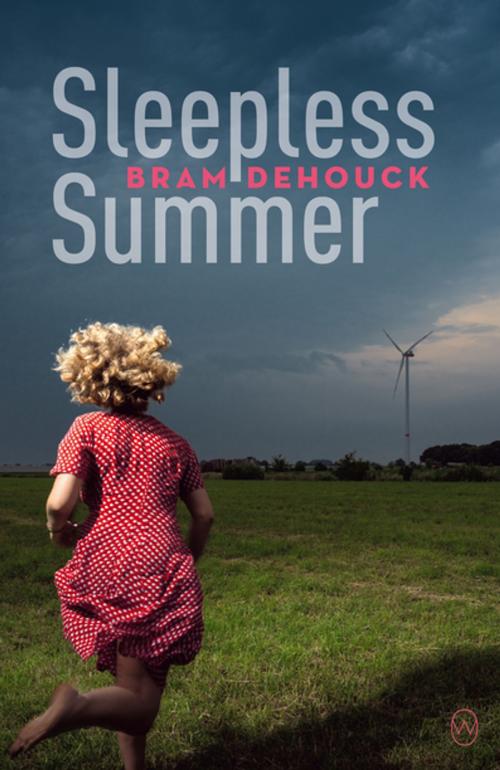 Cover of the book Sleepless Summer by Bram Dehouck, World Editions
