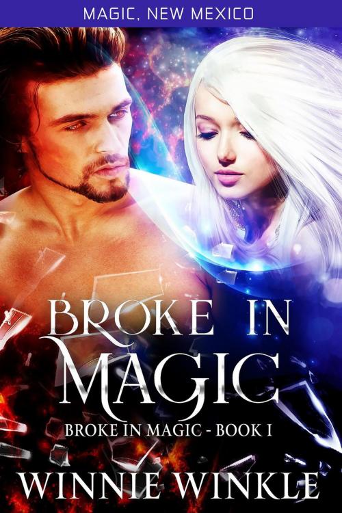 Cover of the book Broke In Magic by Winnie Winkle, J. S. Netwal
