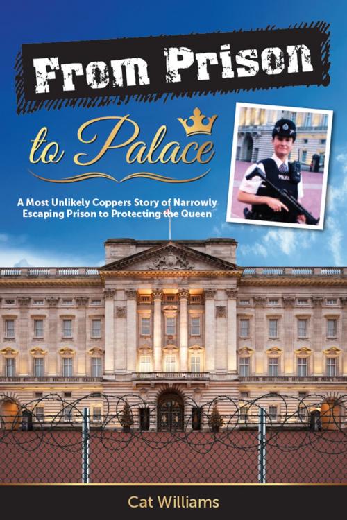 Cover of the book From Prison to Palace by Cat Williams, Global Publishing Group