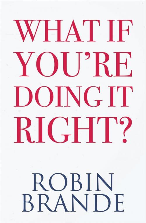 Cover of the book What If You’re Doing It Right? by Robin Brande, Ryer Publishing