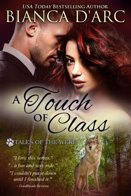 Cover of the book A Touch of Class by Bianca D'Arc, Hawk Publishing, LLC